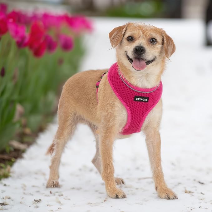 Voyager Aerolite Over The Head Dog Harness, No Pull Breathable Air Mesh Vest, Quick Dry with Reflective Stitching, Adjustable Escape Resistant Harness for Small Medium Large Dogs - Fuchsia, Large