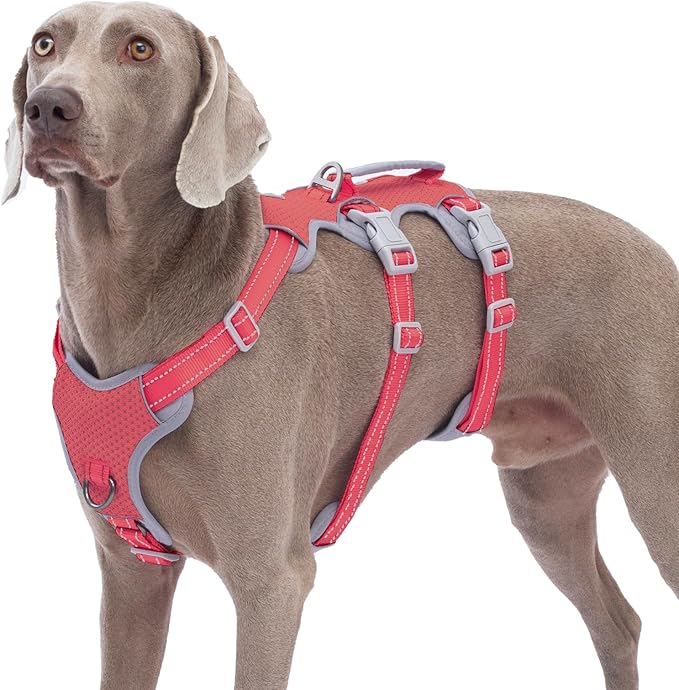 Huntboo Escape Proof Dog Harness, No Pull Reflective Harness with Lift Handle, Adjustable Pet Vest with Front and Back Leash Clips for Small Medium Large Dogs Walking Hiking Training (Red,XL)