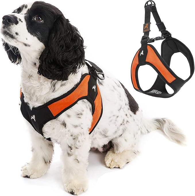 Gooby Escape Free Easy Fit Harness - Orange, Small - No Pull Step-in Patented Dog Harness with Quick Release Buckle for Small to Medium Dogs