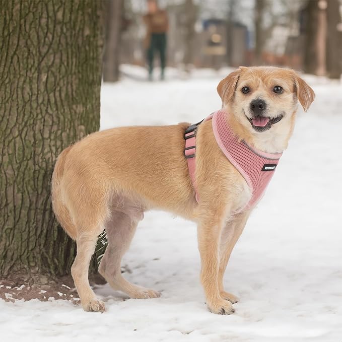 Voyager Aerolite Over The Head Dog Harness, No Pull Breathable Air Mesh Vest, Quick Dry with Reflective Stitching, Adjustable Escape Resistant Harness for Small Medium Large Dogs - Pink, X-Small