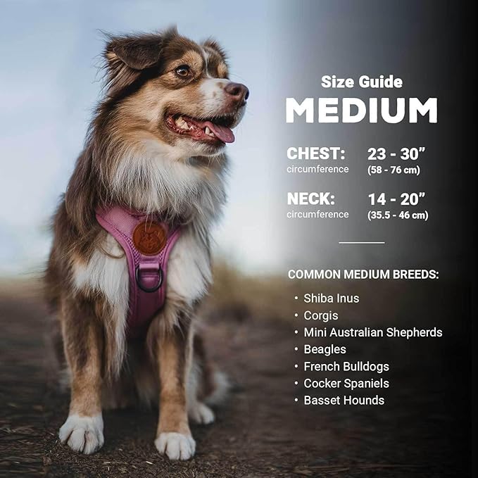 Wilderdog Lightweight Dog Harness with Reflective Straps - Medium - Black