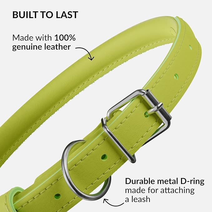 CollarDirect Rolled Leather Dog Collar, Soft Padded Round Puppy Collar, Handmade Genuine Leather Collar Dog Small Large Cat Collars 13 Colors (11-14 Inch, Lime Green Smooth)