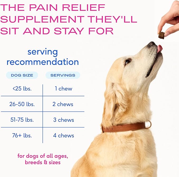 Native Pet Pain Relief for Dogs - Collagen for Dogs Promotes Joint Health, Reduce Inflammation & Stiffness - Senior Pup Joint Supplement - Natural Pain Reliever for Active & Aging Pets - 60 Chews