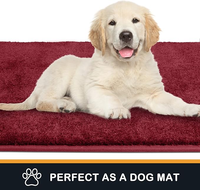 PURRUGS Dirt Trapping Door Mat 20" x 31.5", Non-Slip Machine Washable Entryway Rug, Dog Doormat, Indoor Front Door Mat, Super Absorbent Entry Rug for Muddy Shoes & Paws, Burgundy Red