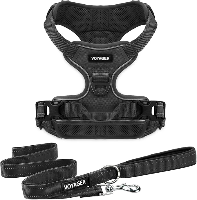 Voyager Dog Harness Dual Leash Attachment No-Pull Control Adjustable Soft but Strong Pet Harness for Medium and Large Dogs with 3M Reflective Technology, Leash Set Black Nylon, L (Chest: 25-30")