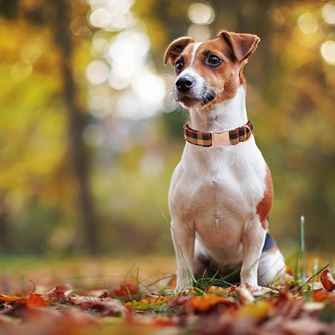 Elegant little tail Fall Dog Collar, Autumn Pet Collar Durable Yellow Plaid Dog Collars Male or Female Holiday Pet Gift Adjustable Dog Collar for Large Dogs