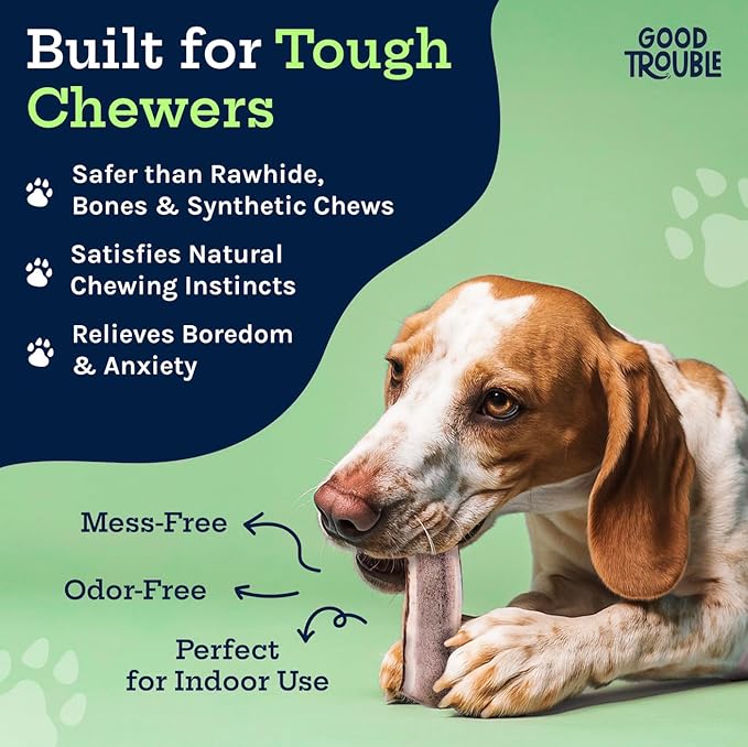 Good Trouble Premium Elk Antlers for Medium Dogs – 1 Pack Split - All-Natural, Shed Antler Chews for Dental Health & Calming - Durable Dog Bones - Cruelty-Free, North American Sourced