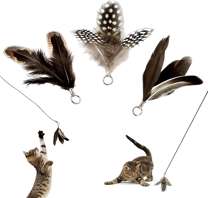 Feather Toys Replacements (3 Pc) - Cat Toys & Kitten Toys for Indoor Kittens, Set of Replacement Feather Attachments Extra Small and Durable, for Cat Wands, Natural and Safe
