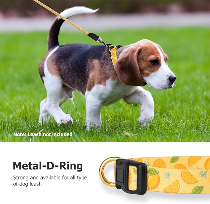 Handmade Dog Collar for Small Medium Large Dogs,Yellow Lemon with Pendant Fall and Winter Fashions Dog Collar (Medium)