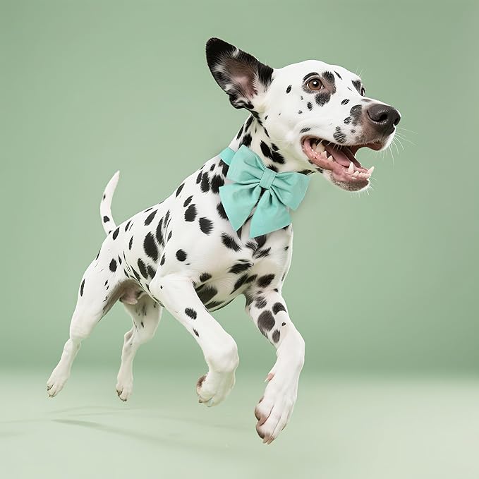 Maca Bates Mint Green Dog Collar with Cute Solid Sailor Bow Tie for Medium Girl Boy Dogs,Adjustbale Durable Breakaway Soft Collars with Bowtie for Female Male Puppy,Pet with Metal Buckle