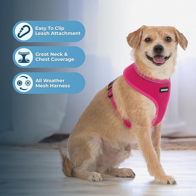 Voyager Aerolite Over The Head Dog Harness, No Pull Breathable Air Mesh Vest, Quick Dry with Reflective Stitching, Adjustable Escape Resistant Harness for Small Medium Large Dogs - Fuchsia, Small