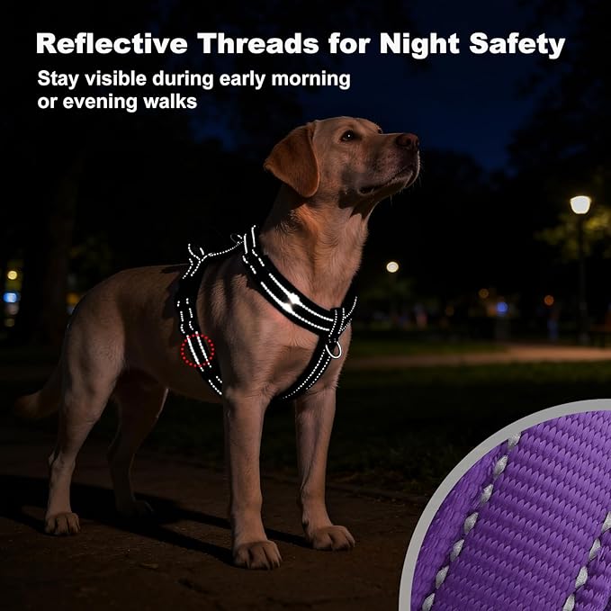 No Pull Dog Harness with Handle, Soft Mesh Padded Adjustable for Small Medium Large Dogs | Reflective Easy Walk Harness with Front Clip for Training, Running & Outdoor (Purple, XL)
