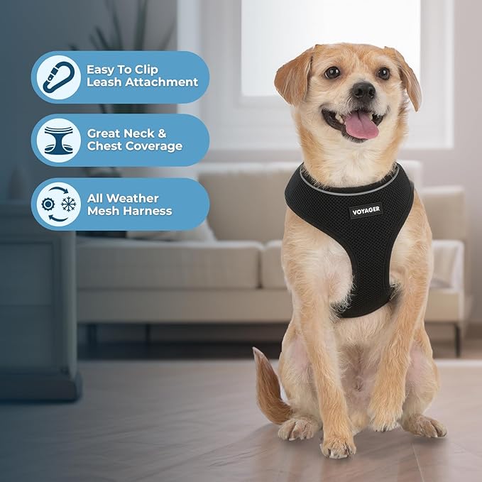 Voyager Aerolite Over The Head Dog Harness, No Pull Breathable Air Mesh Vest, Quick Dry with Reflective Stitching, Adjustable Escape Resistant Harness for Small Medium Large Dogs - Black, Small