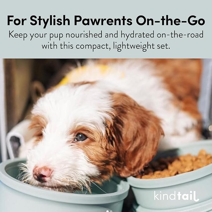 KindTail Dog Travel Bowls - Set of 2 Portable Pet Food & Water Dishes with Lid & Handle - Each Nesting Container Includes a Non-Slip Silicone Base - Microwave & Dishwasher Safe - BPA & Toxin-Free