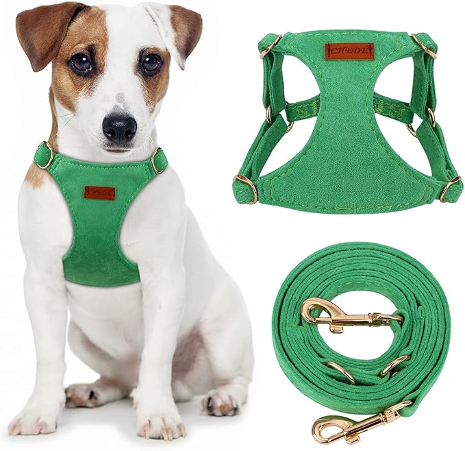 CHEDE No Pull Puppy Harness and Multifunction Dog Leash Set- 8 Colors Soft Adjustable No Choke Escape Proof Cute,Lightweight Pet Vest Harness for Small and Medium Dog (M, Green)
