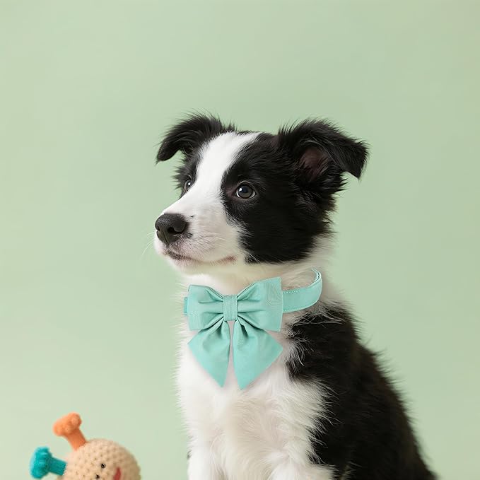 Maca Bates Mint Green Dog Collar with Cute Solid Sailor Bow Tie for Extra Small Girl Boy Dogs,Adjustbale Durable Breakaway Soft Collars with Bowtie for Female Male Puppy,Pet with Metal Buckle