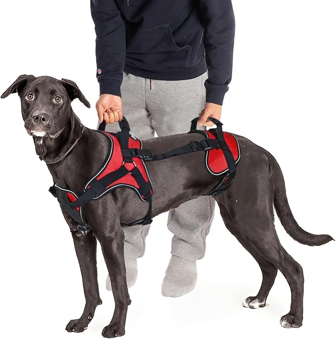 Doggie Stylz Multi-Functional Full-Body Lifting Dog Harness Vest, Designed for Front-Only, Rear-Only or Full-Body Lifting. Please Measure Your Dog Before Ordering.