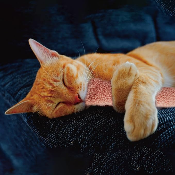 2 Pack Natural Interactive Catnip & Silvervine Cat Kicker with Tail, Bite Resistant Chew Toy, Crinkle Kicker, Accessories for Indoor Cat, Sherpa Material
