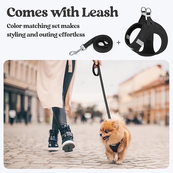 rabbitgoo Dog Harness Small Sized and Leash Set, Step in Soft Light Puppy Vest, Breathable Mesh Pet Harness, Reflective for Outdoor Safe Walking, Black XXL