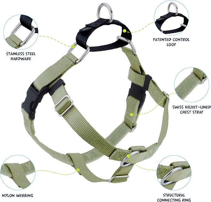 2 Hounds Design Freedom No Pull Dog Harness, Adjustable Harness and Leash Set, Easy Walking & Comfortable Control, Fits Small, Medium & Large Dogs, Solid Colors, Made in USA, 1" XXL, Tan