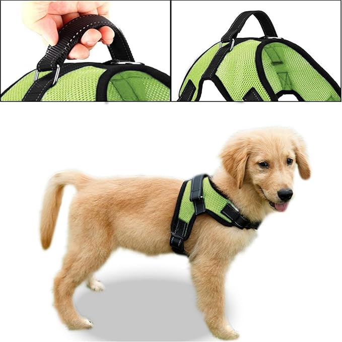 No Pull Reflective Adjustable Dog Harness With Handle- Comfortable Soft All Weather Mesh, Easy On Puppy Harness For Small Medium and Large Dogs (Green) Medium