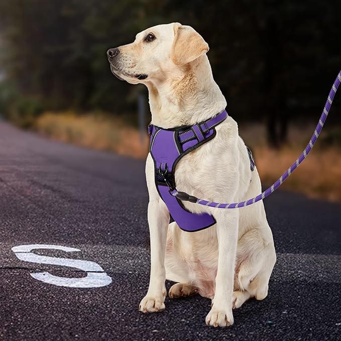 IVY&LANE No Pull Dog Harness for Small Dogs, Dog Vest Harness with Leash, Safety Belt and Storage Strap, Fully Adjustable Harness, 360° Reflective Strip, Soft Handle (Purple, XS)