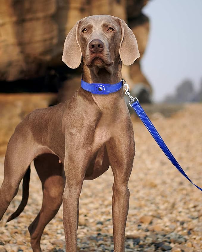 Reflective Dog Leash 6ft Soft Padded Handle Nylon Lead for Small & Medium Dogs, Durable Walking Training Leash for Night Safety (Royal Blue,3/4Inch Wide)