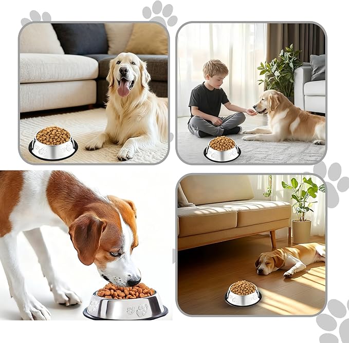 10 Pcs Stainless Steel Dog Bowl Pet Feeding Bowl with Rubber Base Non-Slip Pet Dishes Metal Dog Bowls Pet Food and Water Bowls for Small Medium Animals Kitten Rabbit (47.3 oz)