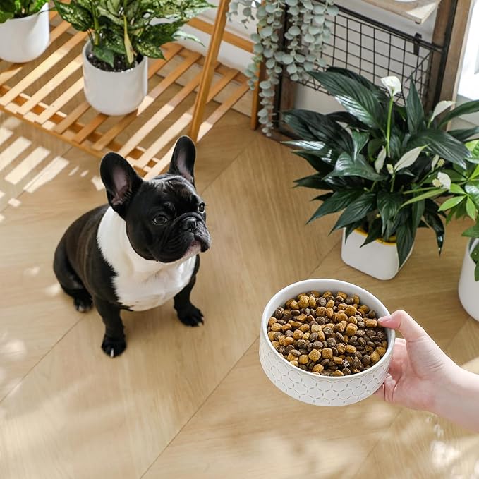 MALACASA Ceramic Dog Food Bowl, 1.5 Cups or 14oz Dog Food Water Dish for Small Breeds, Cats Pet Bowl Dishwasher & Microwave Safe, Honeycomb, Series Lydia