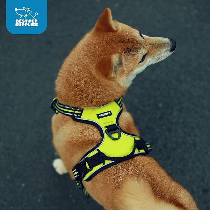 Voyager Dog Harness Dual Leash Attachment No-Pull Control Adjustable Soft but Strong Pet Harness for Medium and Large Dogs with 3M Reflective Technology, Turquoise Nylon, L (Chest: 25-30")