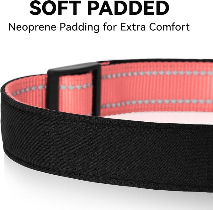 Soft Reflective Dog Collar for Extra Small Dogs, Lightweight Adjustable Puppy Collar with Neoprene Padding, Gentle Nylon for Chihuahua Yorkie,Neon Pink,XS