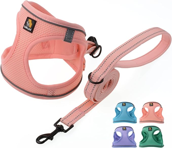 BELLA & PAL Dog Harness for Small Dogs, Medium, Coral Pink, Animal Harness with Leash Set, No Pull, Step in Design, Reflective Strip, Lightweight Mesh, Harness for Extra Small Dogs