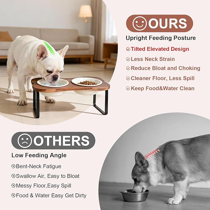 SPUNKYJUNKY Ceramic Elevated Tilted Dog Bowls Bone-Shaped Raised with 2 Height Iron Stand, 6.9'' Dog and Cat Food Water Bowls Set Non-Slip for Small Medium Sized Breed - 20 OZ,Beige