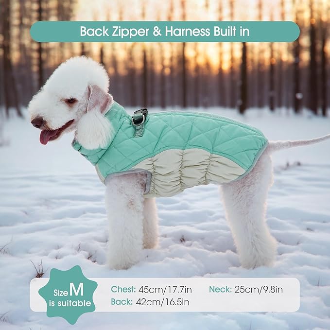 FUAMEY Dog Coat for Small Dogs,Waterproof Dog Winter Jacket with Harness Built in Puppy Cold Weather Coats Reflective Pet Vest with Zipper Warm Fleece Dogs Snowsuit Windproof Mint Green XS