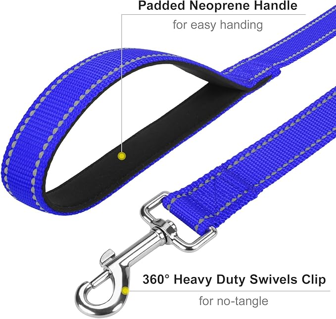 Reflective Dog Leash 4ft Soft Padded Handle Nylon Lead for Small & Medium Dogs, Durable Walking Training Leash for Night Safety (Royal Blue,3/4Inch Wide)