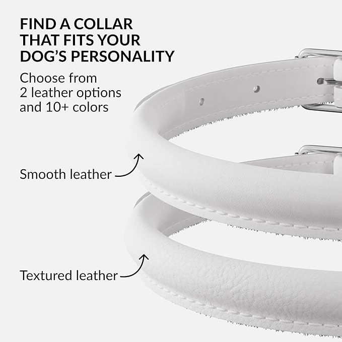 CollarDirect Rolled Leather Dog Collar, Soft Padded Round Puppy Collar, Handmade Genuine Leather Collar Dog Small Large Cat Collars 13 Colors (12-15 Inch, White Smooth)