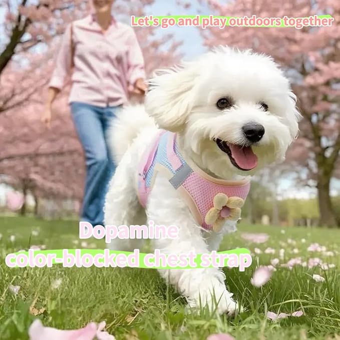Floral Mesh Dog Harness with Matching Leash, Lightweight Pet Vest,Suitable for Small and Medium-Sized Cats and Dogs to Wear， Pink/Yellow (Pink, L:16-20lbs)