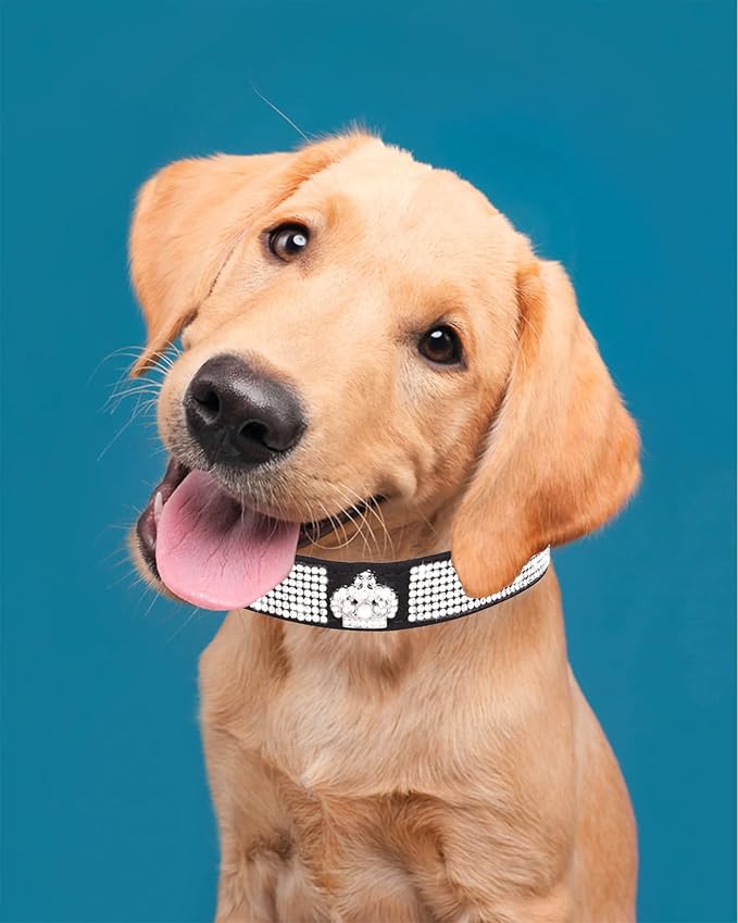 Bling Dog Collar for Small Medium Large Dogs, Crown Rhinestone Dog Collars for Girl and boy Dog, Diamond Puppy Collars, Adjustable Leather Suede SOFE Cat Collar (S(10.6"-13"/27CM-33CM), Black)
