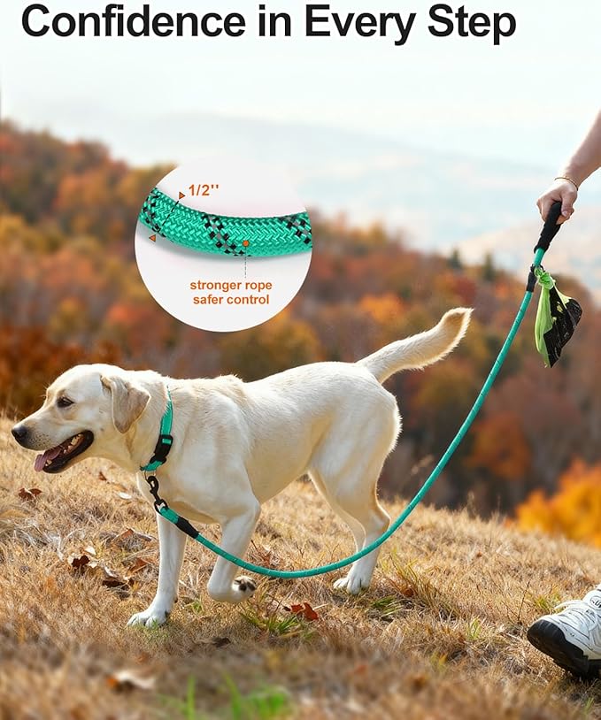 Joytale Dog Leash for Large Dogs, Heavy Duty Nylon Leashes with Comfortable Padded Handle and Highly Reflective Threads, Ideal for Walking and Training, Teal, 5'횞1/2''