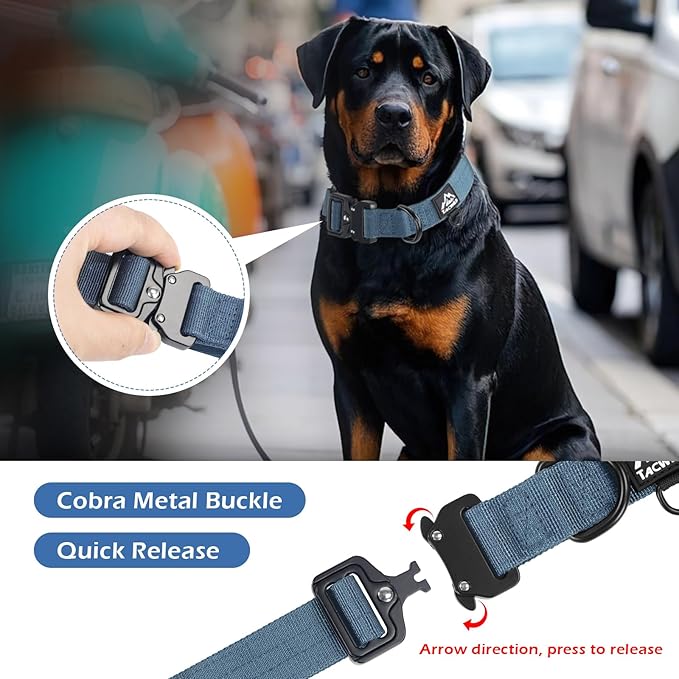 Dog Collars for Small Dogs Christmas Boy Girl- Adjustable, Chew Proof Nylon Collar with Metal Quick Release Buckle and D-Ring for Dog Tags (Haze Blue, S)(not Included The Pendant)