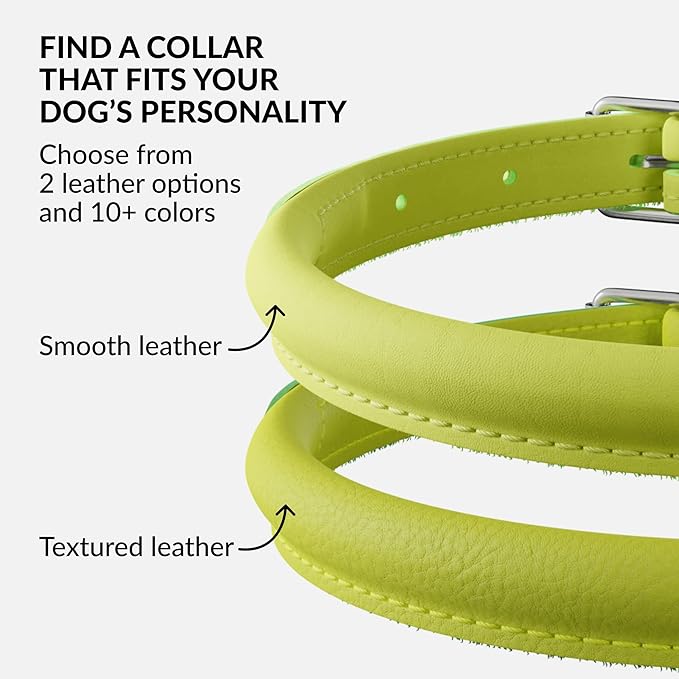 CollarDirect Rolled Leather Dog Collar, Soft Padded Round Puppy Collar, Handmade Genuine Leather Collar Dog Small Large Cat Collars 13 Colors (13-16 Inch, Lime Green Smooth)