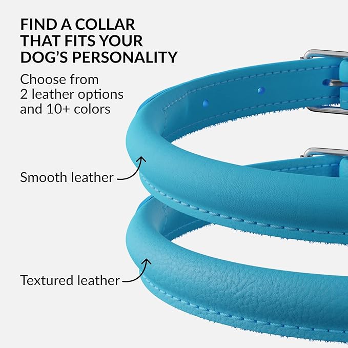 CollarDirect Rolled Leather Dog Collar, Soft Padded Round Puppy Collar, Handmade Genuine Leather Collar Dog Small Large Cat Collars 13 Colors (8-11 Inch, Light Blue)