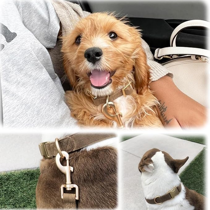 Soft Corduroy Fibric Dog Collar with High Grade Metal Buckle, for Large Dogs.(Brown,Large:17-26")