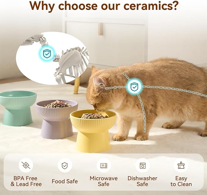 Ceramic Elevated Cat Bowls-Water Bowl, 15° Tilted Design, Anti-Vomiting & Spine Protection, Prevent Whisker Fatigue for Kittens to Adult Cats and Small Dogs (Black-Elevated Cat Bowls-2)
