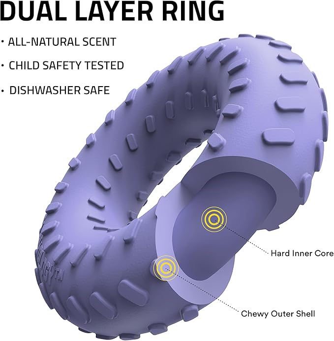 Playology Dog Toys | Dual Layer Ring Durable Chew Toy for Aggressive Chewers | Small Blueberry Scented Toy - Easy to Clean and Made from Non Toxic Materials