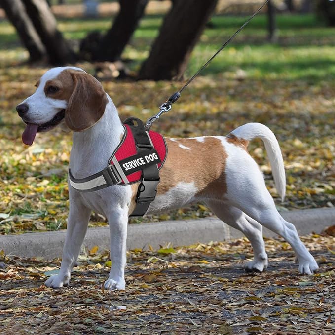 JSXD Dog Harness,No-Pull Service Dog Harness with Handle Adjustable Outdoor Pet Dog Vest 3M Reflective Nylon Material Vest for Breeds,Easy Control for Small Medium Large Dogs