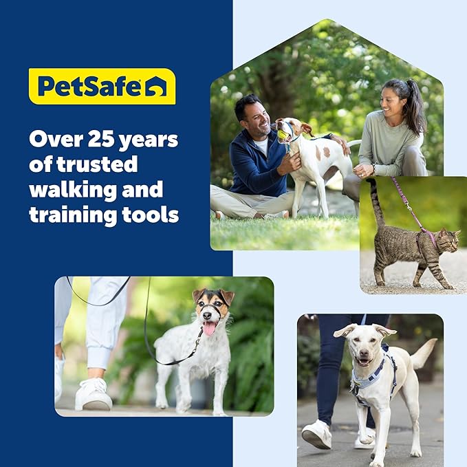 PetSafe Easy Walk Harness for Dogs - Pull-Free Walks - Patented Martingale Loop Design - Front Chest Leash Attachment - Comfort Straps - Breathable Harness Design - Small, Fawn/Brown