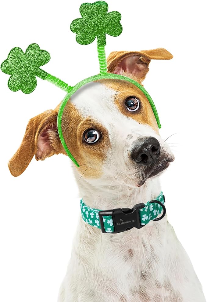 ARING PET St Patrick's Day Dog Collar, Cute Green Clovers Pet Collars with Quick Release Buckle for Puppy Small Medium Large Boy Girl Dogs-L