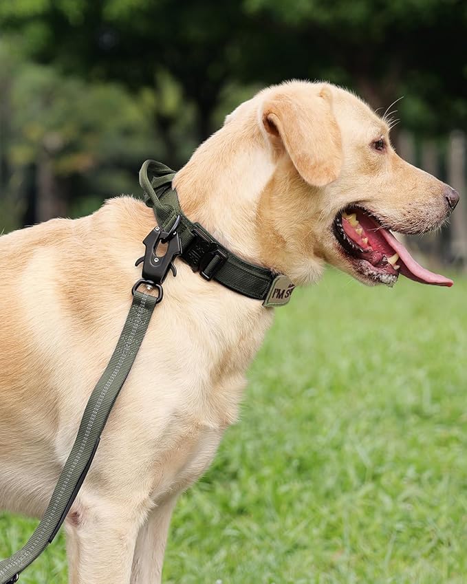 Joytale Tactical Dog Collar with Handle, Adjustable Heavy Duty Military Collar with 2 Patches for Training, Suitable for XLarge Dogs, ArmyGreen, XL