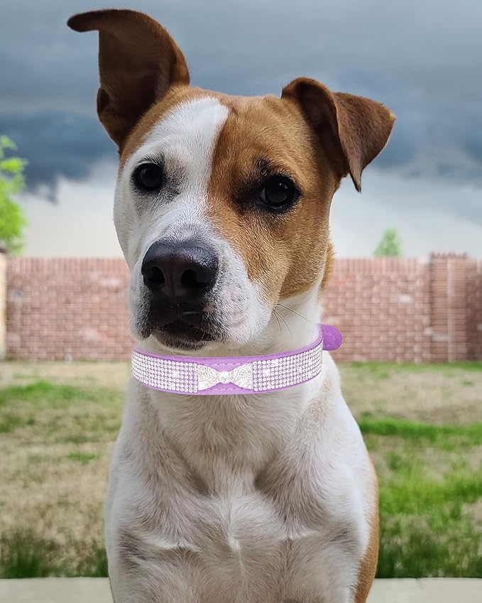 Bling Dog Collar for Small Medium Large Dogs, Crown Rhinestone Dog Collars for Girl and boy Dog, Diamond Puppy Collars, Adjustable Leather Suede SOFE Cat Collar (XS(8.2"-10.6"/21CM-27CM), Purple2)